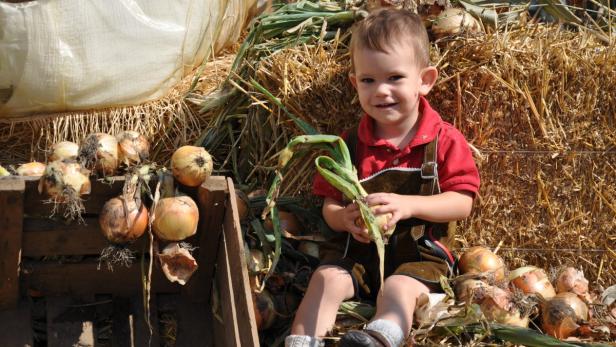 Ein kleiner Junge in Tracht sitzt zwischen Zwiebeln und einem Strohballen.