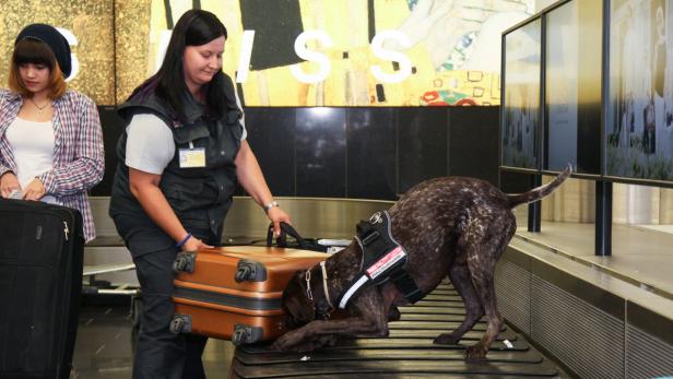 Reportage Flughafen Wien-Schwechat, verbotene Einfuhr von geschützten Tieren und Pflanzen am 31.07.2013