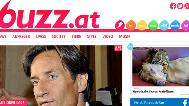 Ein Mann ist auf der Webseite buzz.at zu sehen. Daneben ein Video, in dem eine Katze einen Hund massiert.