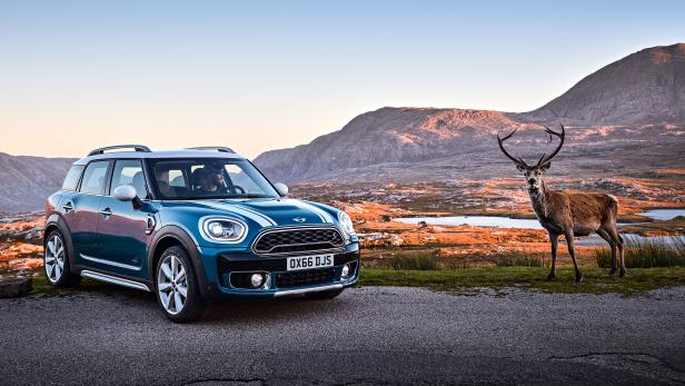 Ein blauer Mini Countryman steht neben einem Rothirsch in einer hügeligen Landschaft.