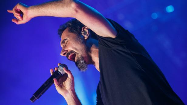 system of a down - frequency festival 2013 - florian wieser