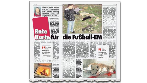Tierleid: Vor der Fußball-EM 2012werden in der Ukraine herrenlose Hunde getötet – die &quot;Krone&quot; bebilderte die Geschichte mit einem Foto unbekannter Herkunft.