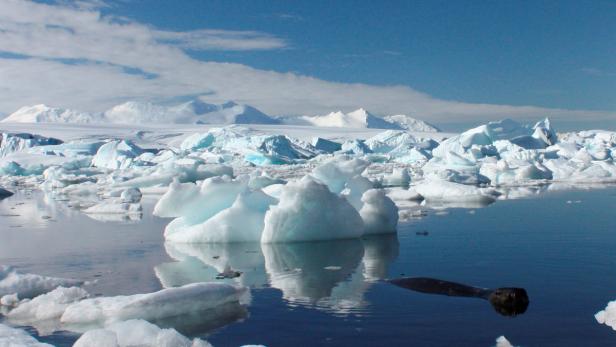 Ein See zwischen Eisbergen in der Antarktis