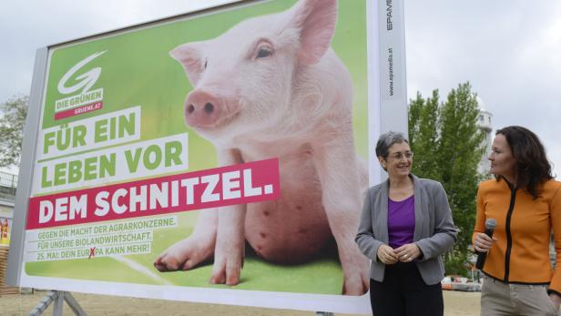 Grünen-Spitzenkandidatin Ulrike Lunacek und Grünen-Chefin Eva Glawischnig bei der Plakatpräsentation der Grünen zur EU-Wahl.