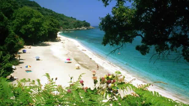 Ein Sandstrand mit türkisfarbenem Wasser und grüner Vegetation im Vordergrund.