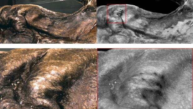 Neue Tätowierung auf Ötzis Körper entdeckt