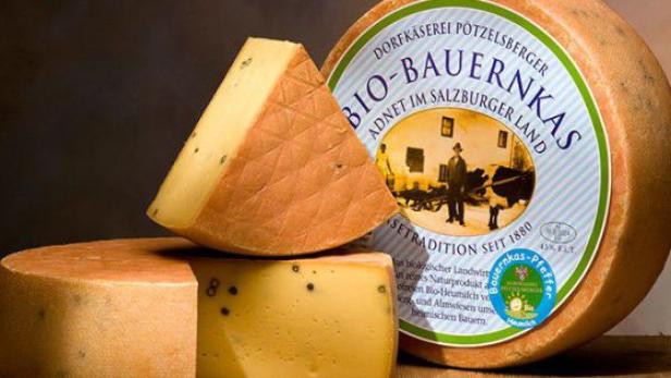 Verschiedene Laibe Bio-Bauernkäse der Dorfäserei Pötzelsberger.