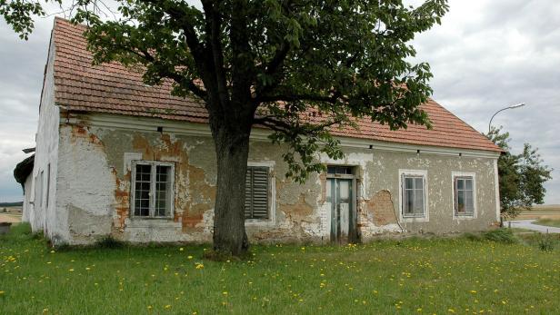 Ein baufälliges Haus mit einem Baum davor auf einer Wiese mit gelben Blumen.