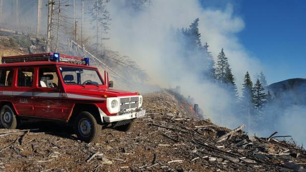 Ein rotes Feuerwehrfahrzeug steht vor einem Waldbrand.