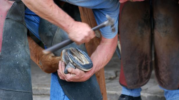 Farrier or Blacksmith busy with a horse&#039;s hoof.