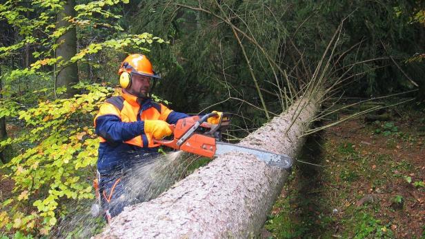 Im Burgenland haben 29 Landwirte seit 1988 bei Waldarbeiten ihr Leben verloren