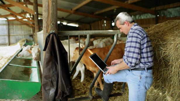 Big Data mit Hilfe neuer Technologien: Je besser der Informationsstand über Tierhaltung und Ackerbau, desto zielgerichteter kann der Landwirt arbeiten.