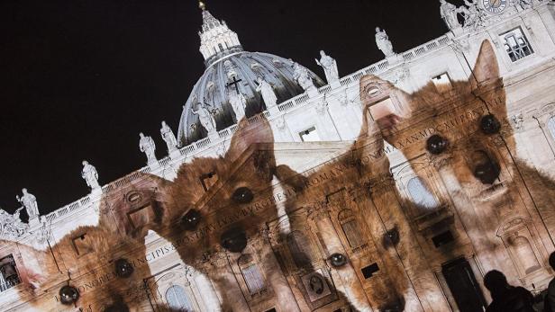 Die Fassade des Petersdoms in Rom mit dem Gesicht eines Hundes überblendet.