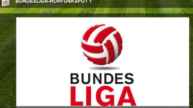 Das Logo der Volleyball Bundesliga mit einem stilisierten Volleyball.