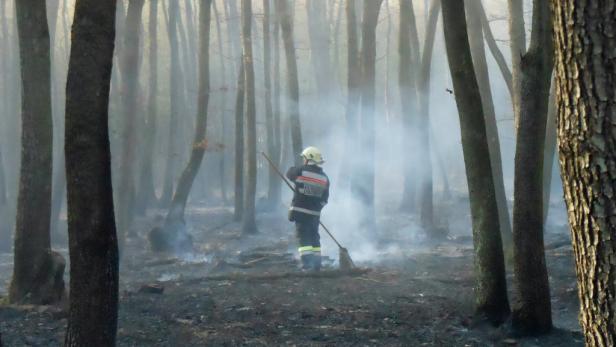 Waldbrandeinsatz im Bezirk Baden: "Leichtsinn"