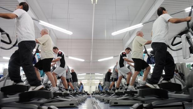 Mehrere Personen trainieren in einem Fitnessstudio auf Crosstrainern.