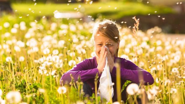 Allergie: Neuer Chip-Test zur Diagnose