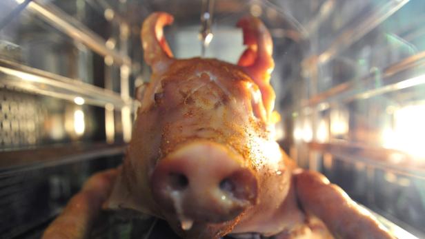 Ein Spanferkel wird in einem Ofen gegrillt.