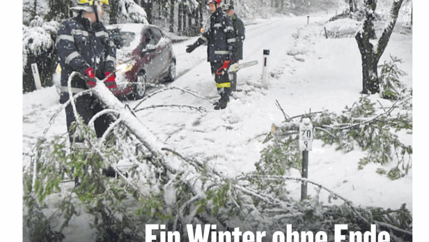 Feuerwehrleute beseitigen im Schnee eine umgestürzte Baumkrone von einer Straße.