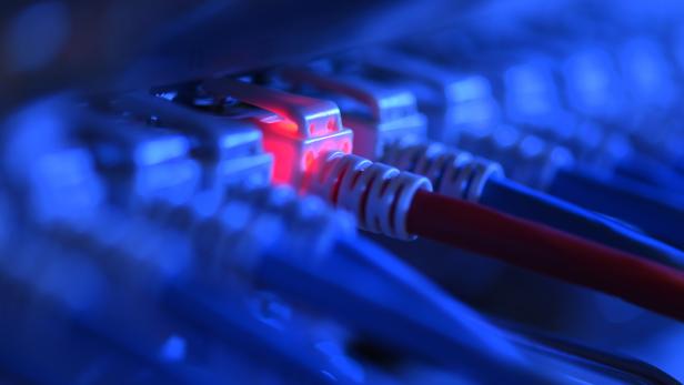 Nahaufnahme von Netzwerk-Kabeln mit roter LED-Anzeige.