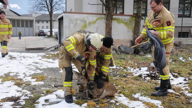 Die Freiwillige Feuerwehr Fügen bei der Rettung