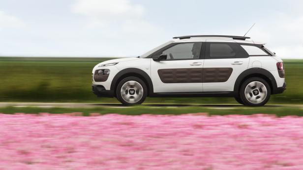 Ein weißer Citroën Cactus fährt an einem Feld rosa blühender Blumen vorbei.