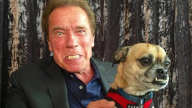 Schwarzenegger