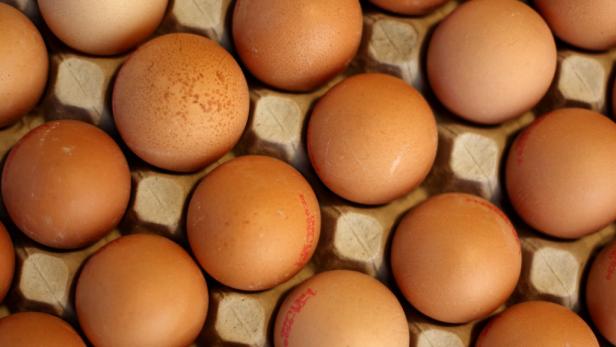 Aus 3500 wurden 30.000 Eier: Steirer in Haft