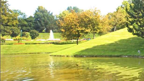 Teich in Oberlaa (Symbolbild)