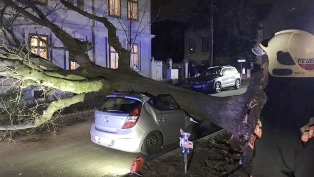 Mittwochfrüh fiel in Wien-Ottakring ein Baum auf ein geparktes Auto