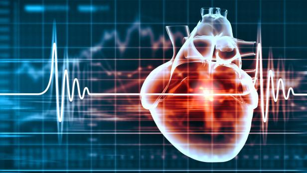Ein transparentes Herz vor einem Hintergrund mit EKG-Linien.