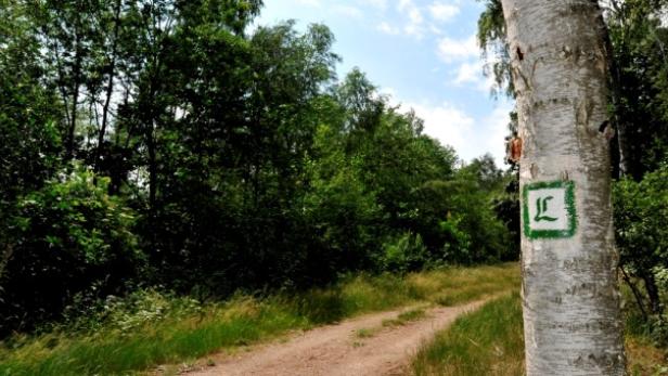Unterwegs auf dem Lutherweg Sachsen in und um Leipzig