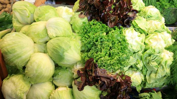 Verschiedene Salatsorten, darunter Eisbergsalat und Pflücksalat, auf einem Marktstand.