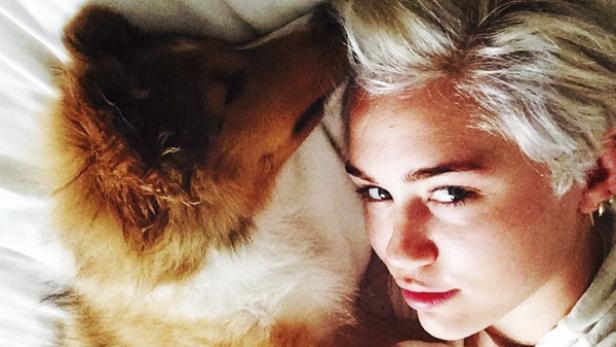 Miley Cyrus.jpg Ein neuer Freund für Miley Cyrus