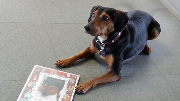 Egal ob von der Tochter, dem Sohn, dem Enkerl oder dem vierbeinigen Kind, alle Mütter dieser Welt freuen sich diesen Sonntag über ein kleines Dankeschön von ihren Liebsten. Der KURIER Hund Andrassy zeigt Ihnen, wie Sie Ihrer Mutter eine große Freude machen können.