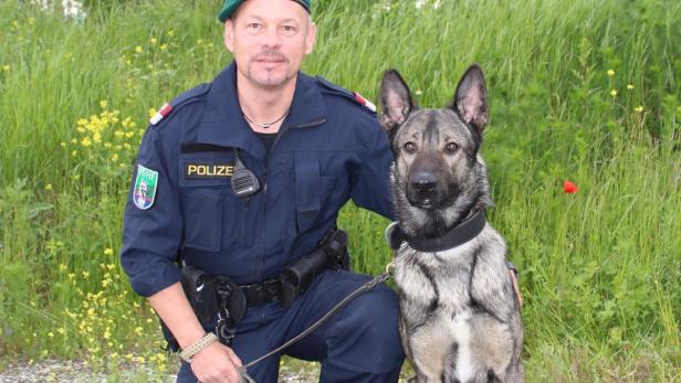 Ein Polizist kniet mit seinem Diensthund im Gras.