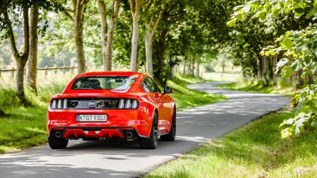 Ein roter Ford Mustang fährt auf einer von Bäumen gesäumten Straße.