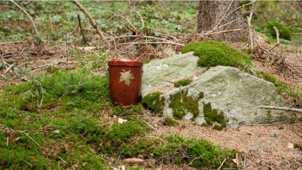 Urnenforst: Letzte Ruhe im Nadelwald