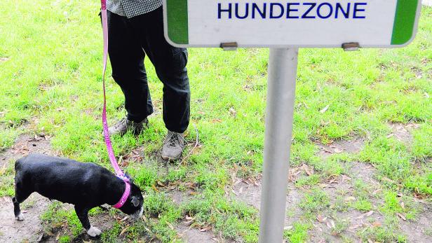 Stadt Linz plant eingezäunte Hundezonen