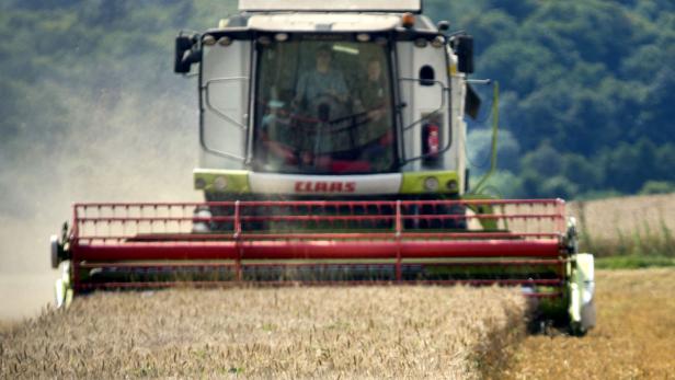 Die Anbaufläche für Getreide ist in Österreich gestiegen. Dafür wird weniger Mais angebaut.