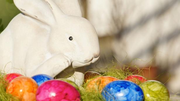 Hase zum Tag: Der Osterhase Er verstecke die Ostereier im Freien, im Gras und in Sträuchern, wo sie zur großen Freude und Belustigung der Erwachsenen von den Kindern gesucht werden. So beschreibt Georg Franck von Franckenau das Ritual rund um den Osterhasen.