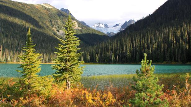 Dichte Wälder, türkise Bergseen: Der Joffre Lakes Provincial Park lädt zum Wandern, Angeln und Zelteln ein.
