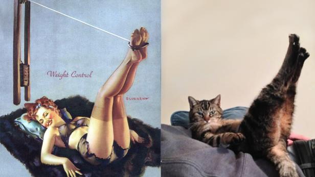 Ein geteiltes Bild: links ein Pin-up-Girl, rechts eine Katze in ähnlicher Pose.