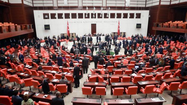 Abgeordnete bei der Abstimmung über die Verfassungsreform