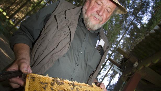 Imker Horst Hametner aus Bad Zell im Mühlviertel: „Ich bin froh, dass meine Bienen gesund sind“