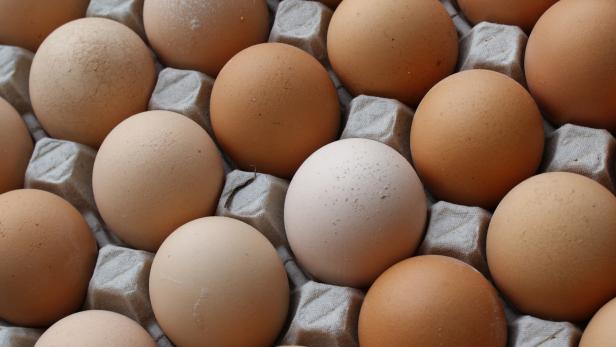 Warum Eier im Kühlregal gelagert werden – oder auch nicht