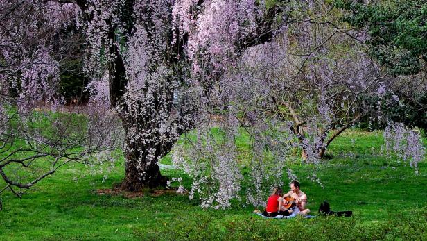 Steigt im Frühling wirklich die Lust?