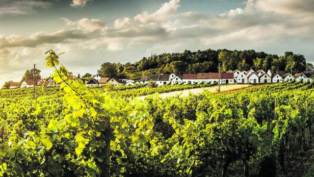 Ein schönes Bild des Weinviertels. Österreich wurden in den USA zum Top-Ziel für Weinreisen gewählt