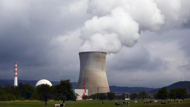 Ein Atomkraftwerk mit Kühlwassernebel und weidenden Kühen im Vordergrund.
