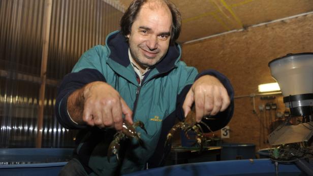 Gernot Heigl betreibt eine einzigartige Zucht für Flusskrebse in Stegersbach